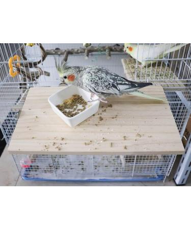 34.5 x 20 cm Natural Wood Bird Seat | Small Animal Cage Accessories for Parrots Budgerigars Hamsters & More - Buy Online on GoSupps.com