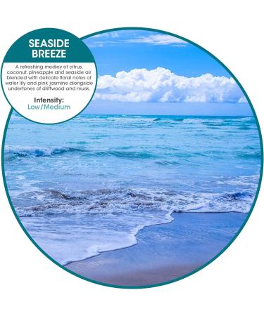 Fresh Products MYFF6I036M54 My Fresh Freshener Refill44 Seaside Breeze - Buy Online on GoSupps.com