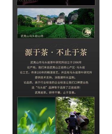 Wuyi rock tea 248g*2 - Buy Online on GoSupps.com