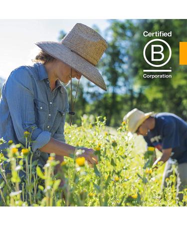 Organic Mullein Blend Liquid Extract for Respiratory Support - 4 Ounce by Herb Pharm - Buy Online on GoSupps.com