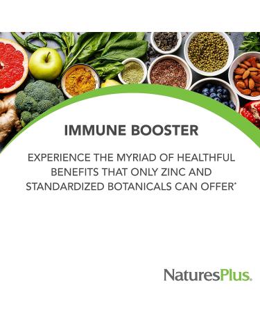 NaturesPlus ImmunActin Zinc Lozenges 10mg - 60 Vegan Lozenges - Immune Booster with Echinacea & Elderberry - Wild Cherry Flavor - Vegetarian & Gluten-Free - Buy Online on GoSupps.com