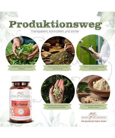 St. John's Wort Tablets 390mg | 130 Vegan Tablets | Premium Quality from Austria | Additive-Free Hypericum Perforatum | Herrgottsblut 1 Pack - Buy Online on GoSupps.com