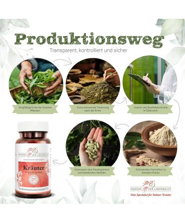 Bitter Melon Tablets 400mg | 140 Vegan Tablets | Premium Quality Momordica Charantia from Austria | Natural Additive-Free Karela & Bitter Cucumber - Buy Online on GoSupps.com