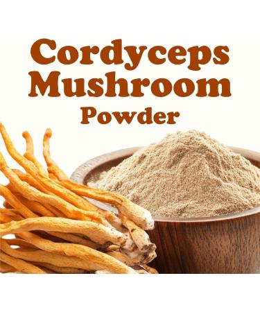 Food to Live Cordyceps Mushroom Powder 1 Pound Pure Premium Ultra-Fine Cordyceps Militaris Kosher Vegan Bulk 16 Ounce (Pack of 1) - Buy Online on GoSupps.com