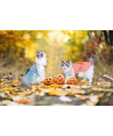 Small Dog Polka Dot Dress with Bow Skirt - Blue & Orange (S Size) - Buy Online on GoSupps.com
