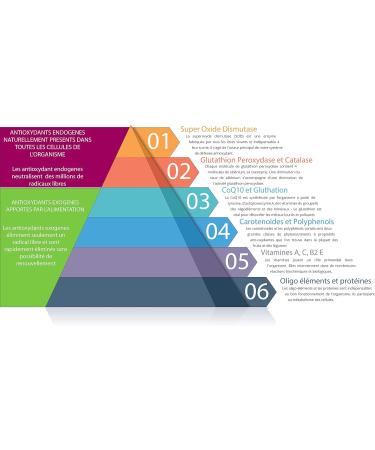 Prevoxium 180 Capsules Protects Your Cells Against Oxidative Stress and Strengthens Your Immunity Spirulina Enriched with Selenium 100% Natural and Innovative Food Supplement Made in France - Buy Online on GoSupps.com