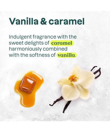 ATTITUDE Limited Edition Liquid Hand Soap EWG Verified Plant and Mineral-Based Vegan Personal Care Products Vanilla Caramel 16 Fl Oz (Pack of 6) Vanilla Caramel 16 Fl Oz (Pack of 6) - Buy Online on GoSupps.com