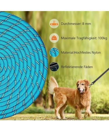 Shop Aystkniet Bungee Tow Leash for Dogs - 30m Shock-Absorbing Dog Leash with Padded Handle & Lockable Hook - Perfect for Medium & Large Dogs - Blue - Buy Online on GoSupps.com