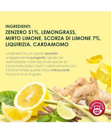 Pompadour Infusion de gingembre et citron - 60 filtres (3 paquets de 20 filtres) aromatique et pic 100% naturel sans lactose gluten et allerg nes v g talien - Buy Online on GoSupps.com