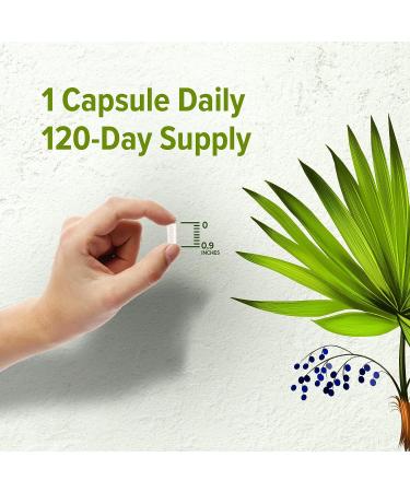 ORZAX Saw Palmetto 2000mg - Prostate Health & Hair Growth Support - 120 Veg Capsules - Buy Online on GoSupps.com