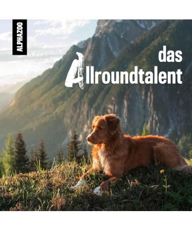 Alphazoo Premium Salmon Oil for Dogs & Cats 500ml - Omega 3 & 6 Fish Oil Barf Oil Fur Care - Made in Germany - Buy Online on GoSupps.com