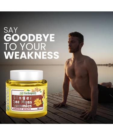 HERBOGANIC Ginger Sea Moss Gummies - Herbal Support for Immune & Digestive Health - Plant-Powered Gluten-Free & Vegan-Friendly - 60 Count Ginger 60 Count (Pack of 1) - Buy Online on GoSupps.com