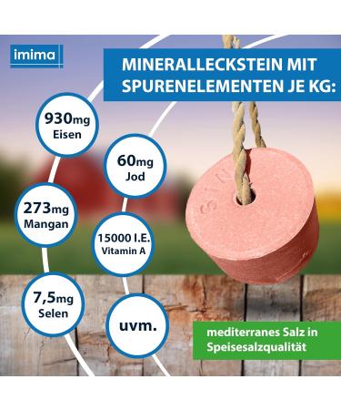 Imima Mineral Lick Energy Block Set for Horses Sheep & Goats - 4 x 3kg Salt Licks | 12kg Total - Premium Mineral Stone for Livestock & Wildlife - Buy Online on GoSupps.com