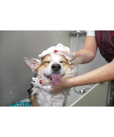 Artero Pretty Eyes - Professional Tear Stain Remover & Eye Cleaner - Buy Online on GoSupps.com