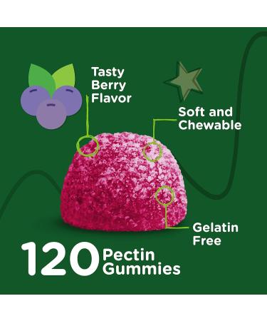 Kids Zinc Gummies 15mg - Immune Support Booster - Berry Flavor - 120 Count - Gluten Free GMO Free - Buy Online on GoSupps.com