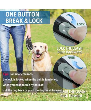 Etechydra Dog Retractable Leash 5m/16ft Gray - Heavy Duty Nylon Tape Leash with Anti-Bite Steel Chain for Medium Large Dogs - Buy Online on GoSupps.com
