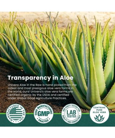 Organic Aloe Vera Gel 4 oz - Sunburn Relief & Moisturizer - Travel Size - No Coloring - Freshly Cut - Cools Skin After Sun - 4 Fl Oz - Buy Online on GoSupps.com