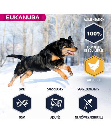 Eukanuba Dog Dry Food Rottweiler Chicken 12kg - Buy Online on GoSupps.com