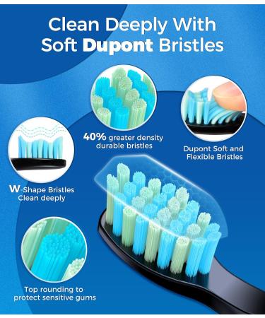 Electric Sonic Toothbrush with 8 Brush Heads | 40000 VPM | 5 Modes | Fast Charge | Lasts 30 Days | Silver Grey - Buy Online on GoSupps.com