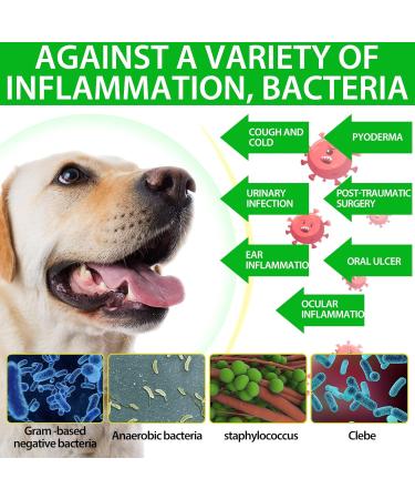 JSBNQRMZ Natural Antibiotics for Dogs Dog Antibiotics Drops Dog Itch Relief Pet Antibiotics-Supports Dog Allergy Relief Anti-Bacterial Effect Dog Multivitamin (60ML) - Buy Online on GoSupps.com