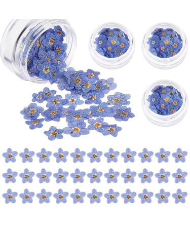 Natural Forget-Me-Not Dried Flowers Don't Forget Me Dried Flower Real Dried Pressed Flowers for Jewelry Candle Card Making DIY Resin Ornaments Nail Art Flowers Decorations (100 Pieces)