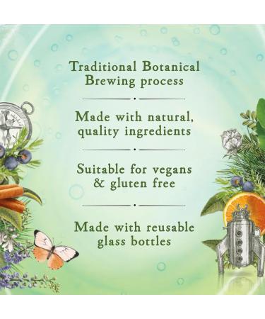 Fentimans Ltd Fentimans Gently Sparkling Elderflower Botanically Brewed Drink Beautifully Crafted and Refreshing Soft Drinks Gluten Free and Vegan Soft Drinks 12 x 275ml Bottles - Buy Online on GoSupps.com