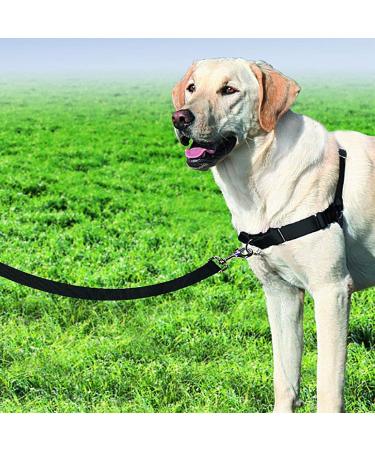 Dog Training Double Ended Leads : 2m Hands Free Adjustable Pet Training leash for Running Walking - Retractable Multifunctional Strong Nylon Puppy Lead Rope for Small Medium Dogs - Buy Online on GoSupps.com