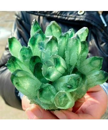 Beautiful Green Quartz Crystal Cluster Specimen Suitable for Home HOMEZHOU (Size : 800-900g) - Buy Online on GoSupps.com