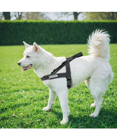 Buy Elite Spanker Tactical Dog Dishes Vest - Adjustable Nylon Pet Bowl for Small Medium & Large Dogs (Black) - Buy Online on GoSupps.com