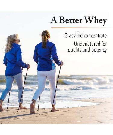 Natural Factors Grass Fed Whey Protein Unflavored - 2 lbs (907 g) | High-Quality Protein Supplement - Buy Online on GoSupps.com