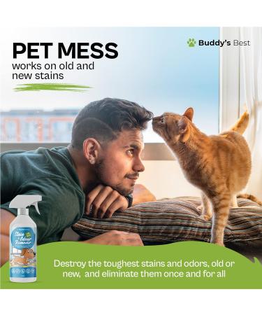 Stain & Odour Remover For Cats | Powerful Enzyme Cleaner | 500ml - Buy Online on GoSupps.com