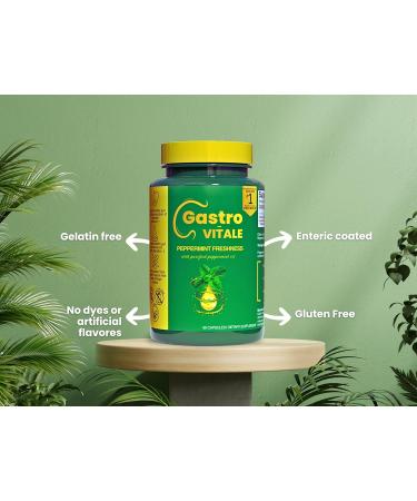 Gastro-Vitale Peppermint Oil for Bloating Gas GLP-1 Digestive Support - Gut Health & Abdominal Comfort - Vegan Enteric-Coated Capsules - 60 Count - Gelatin-Free Halal Alpha-Gal Safe - Buy Online on GoSupps.com