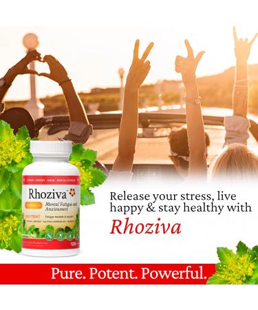 Rhoziva Rhodiola Rosea Supplement. Supports Mental Energy Focus & Memory. Gluten Free Non-Gmo. 120 Capsules. 100mg (Pack Of 1) - Buy Online on GoSupps.com