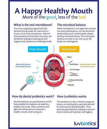 Luvbiotics Probiotic Mouthwash with Xylitol - Alcohol & Parabens Free - 500ml - Buy Online on GoSupps.com