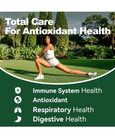 MEGNETA 10-in-1 Oregano Oil Capsules Oil of Oregano with Black Seed Oil & Olive Leaf 60 Counts - Buy Online on GoSupps.com