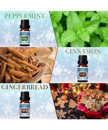 SALKING Winter Essential Oils Set for Aromatherapy & Candle Making - Cinnamon, Sugar Cookie, Cranberry, Peppermint, Gingerbread Scents - Buy Online on GoSupps.com