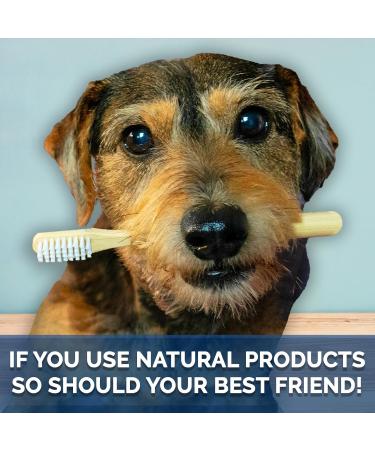 All Natural Organic Dog Toothpaste - Veterinarian Formulated Tartar Removal & Gum Health 5oz Spear Mint Made in USA - Buy Online on GoSupps.com