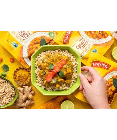 Thai Penang Ginger Curry - Ready to Eat, 10oz (Pack of 6) | Tasty Bite - Buy Online on GoSupps.com