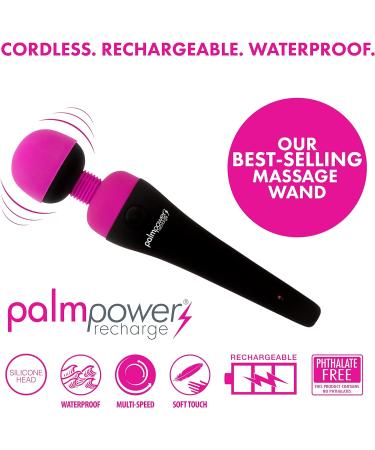 Buy Palm Power BMS The Swan Wand Massage Stick - Pink Personal Massager | International Shipping - Buy Online on GoSupps.com