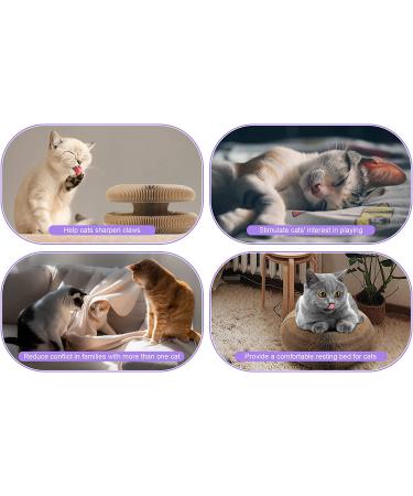 PetHse Magic Organ Cat Scratching Board - Interactive Scratch Pad Toy with Toy Bell Ball - Buy Online on GoSupps.com