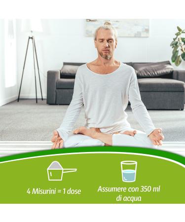  WHY NATURE Why Nature Pasto Shake Substitute Gusto Banana Vanilla 480g gluten free - Buy Online on GoSupps.com