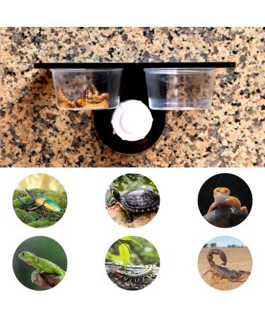 Jetisva 2pcs Reptile Water and Food Bowl Crested Gecko Feeding Ledge Plastic Suction Cup Reptile Water Dish Reptile Feeder for Lizard Chameleon Turtle Tortoise Snake Scorpion Centipede Fits Tank - Buy Online on GoSupps.com