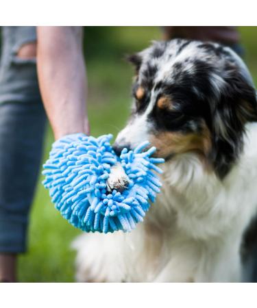 Dog Paw Cleaner Large with Handle - Micro-Fibre Drying Mitt Included - Buy Online on GoSupps.com