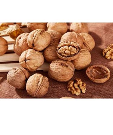 Buy 2kg Walnuts in Bowl - 100% Natural Vegan & Gluten-Free | Perfect for Students - No Additives | Premium Quality Chile 30-34mm - Buy Online on GoSupps.com