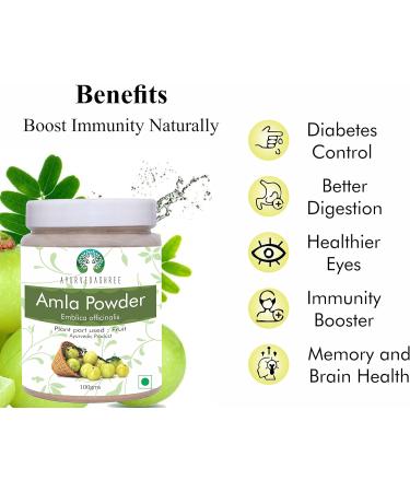 AYURVEDASHREE Amla Fruit Powder 100g - Raw Non GMO Antioxidant Vitamin C Vegan - 100% Raw from India - Buy Online on GoSupps.com