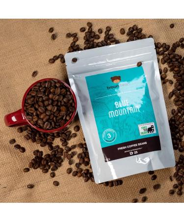 Blue Mountain Ground Coffee 1kg - For Filter Cafetiere V60 French Press - Medium Roast - Brown Bear - Strength 3 - Donation to Free The Bears - Buy Online on GoSupps.com