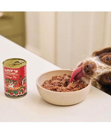 Lily's Kitchen Natural Wet Dog Food - Grain-Free Meat Potato Casserole 6x400g | Healthy Adult Dog Meals - Buy Online on GoSupps.com