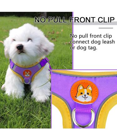 Rennaio No Pull Dog Harness & Leash Set for Small/Medium Dogs - Adjustable & Comfortable with Puppy Dishes - Purple (L) - Buy Online on GoSupps.com