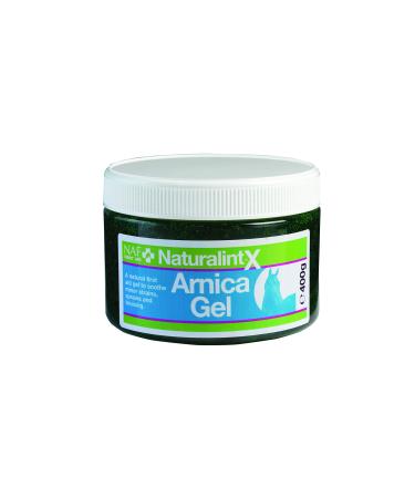 Natural Animal Feeds NAF Arnica Gel 400 g (Pack of 1) - Buy Online on GoSupps.com