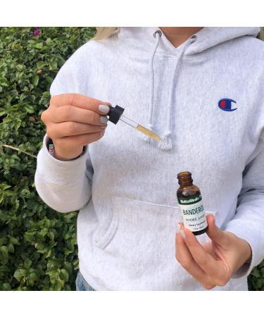 NutraMedix Daily Immune Support Supplement - Banderol Herbal Supplements for Immune System Support - Vegan Tincture - Bioavailable Otoba Bark Extract Liquid Drops (1 oz/30 ml) 1 Fl Oz (Pack of 1) - Buy Online on GoSupps.com